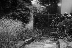 六本木ヒルズ裏