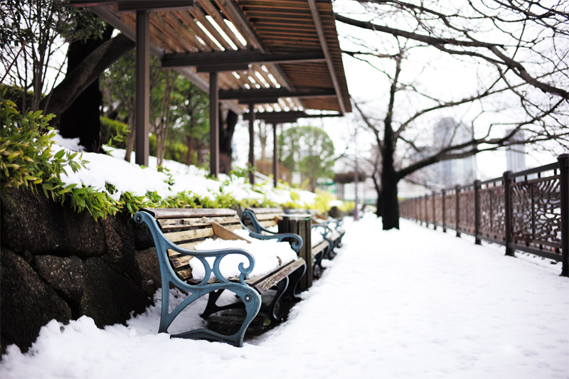 座れないベンチ