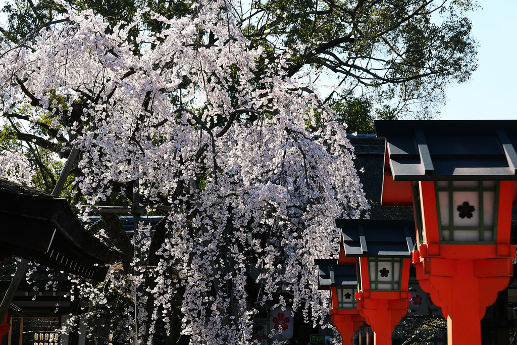 Kyoto(2)