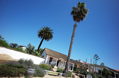 メキシコスタイル