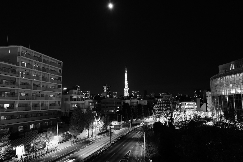 ヒルズより