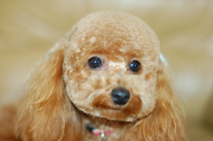 ハンナ