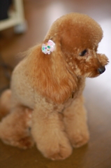 ハンナ