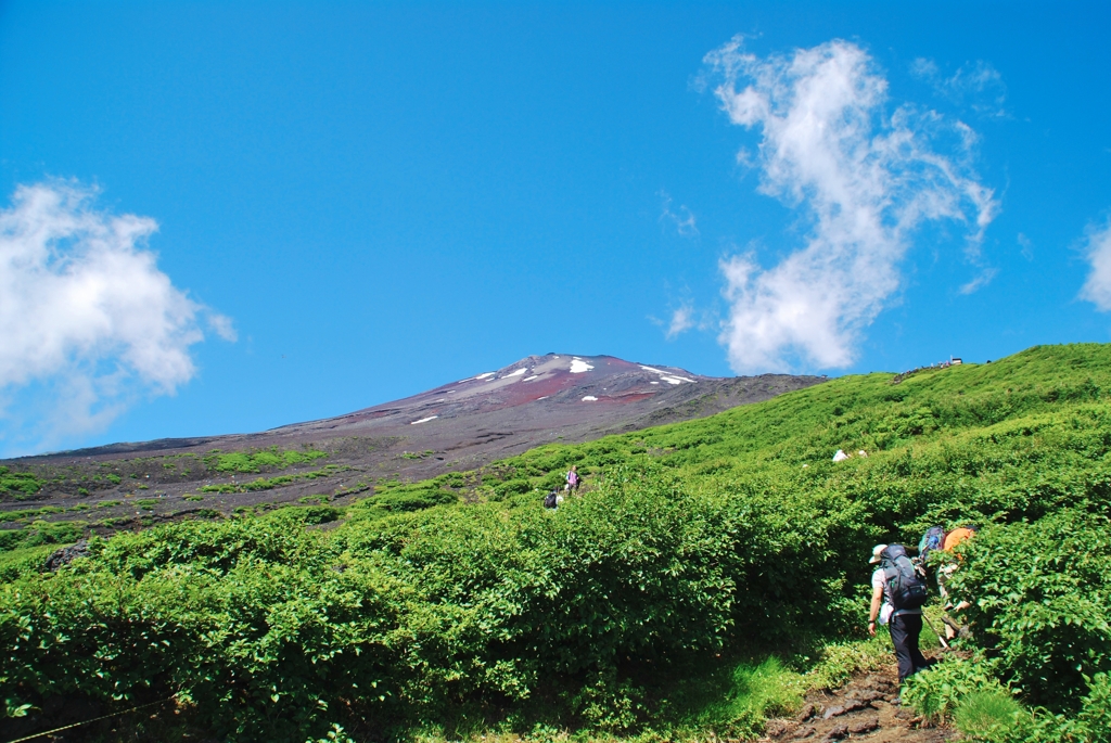 富士山と跳ね馬