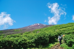 富士山と跳ね馬