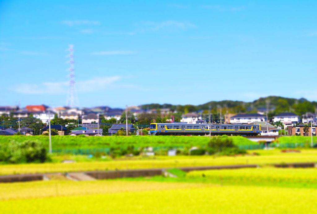 こどもの国線