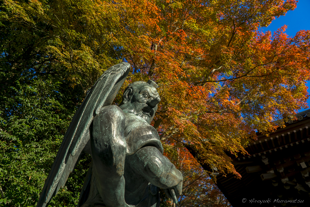 高尾山紅葉
