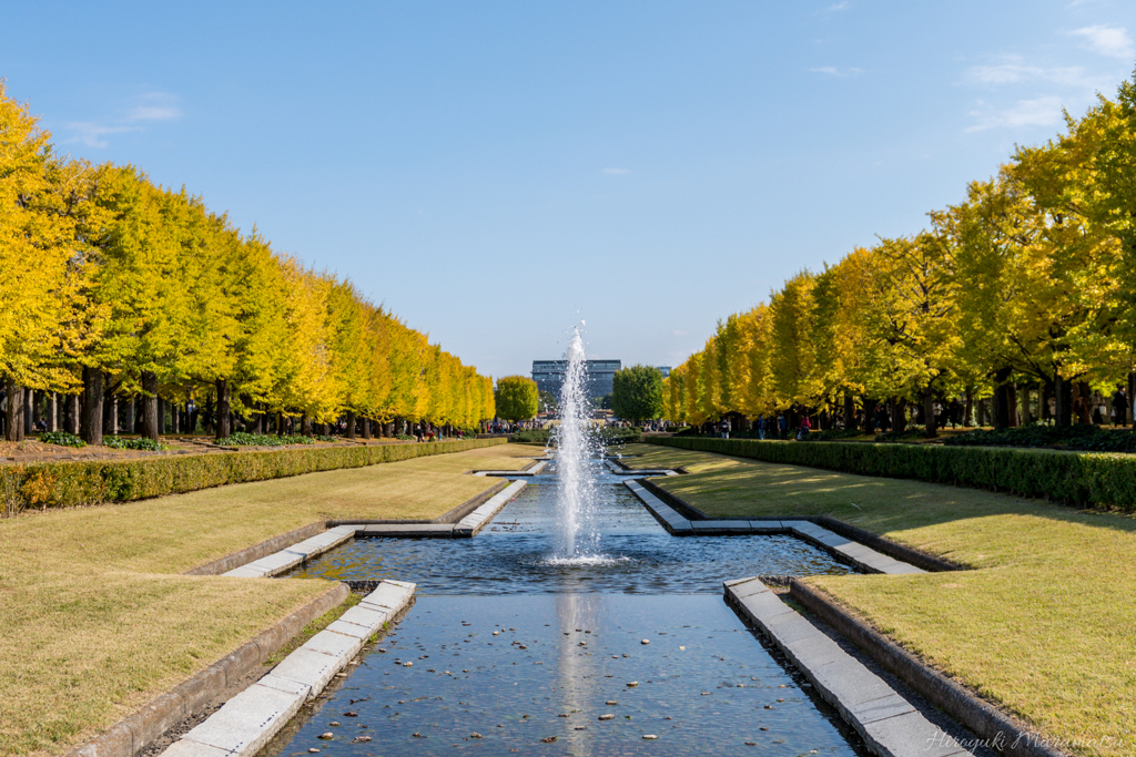 19年11月09日0063_昭和記念公園_現像