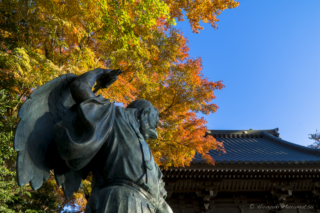 高尾山紅葉
