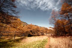 紅葉　浅間山