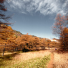 紅葉　浅間山