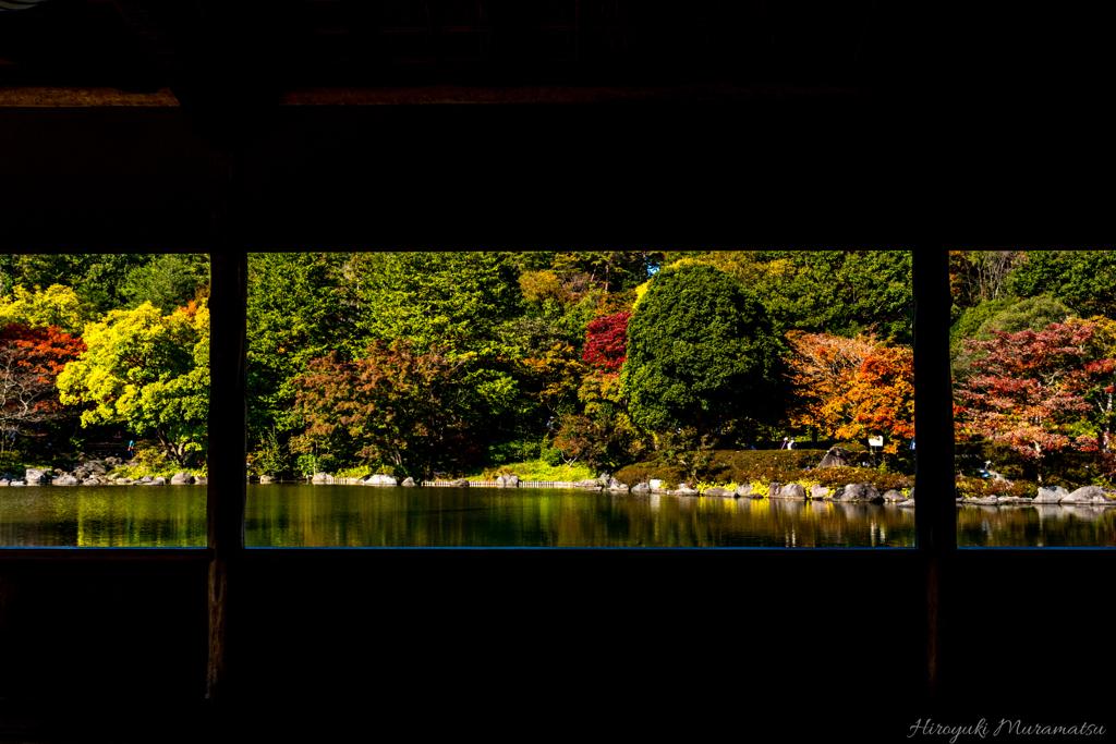 19年11月09日0262_昭和記念公園_現像-3