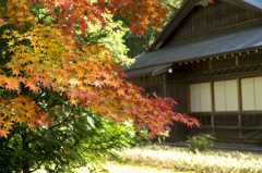 日光　日光田母沢御用邸