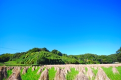 里山の秋です