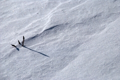 雪下