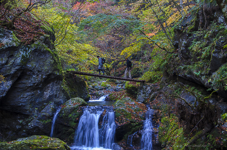 川苔山