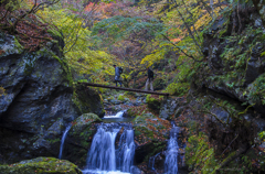 川苔山
