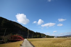 いなか