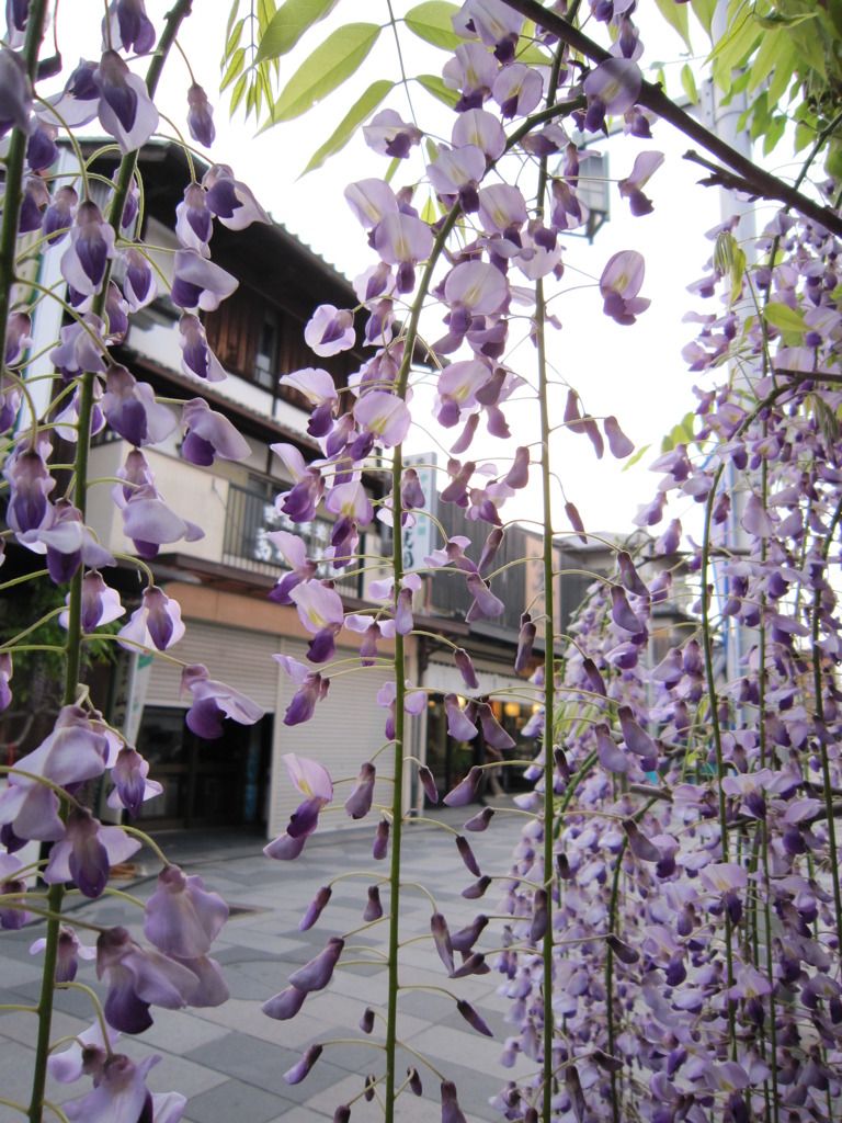 平等院