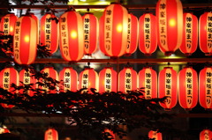 神楽坂　ほおずき市　提灯