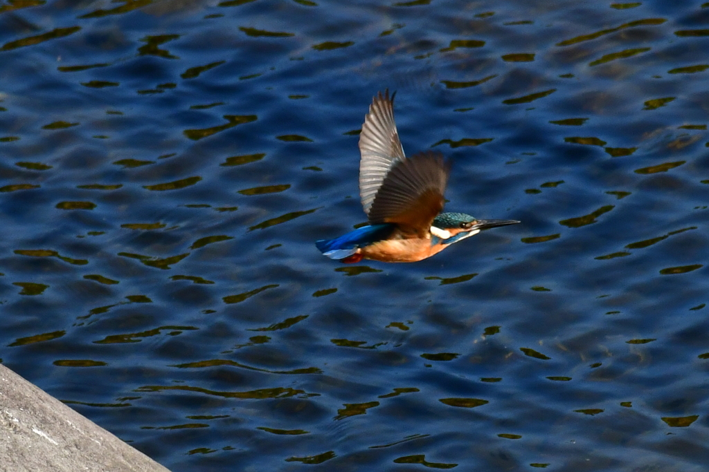 直進飛行します