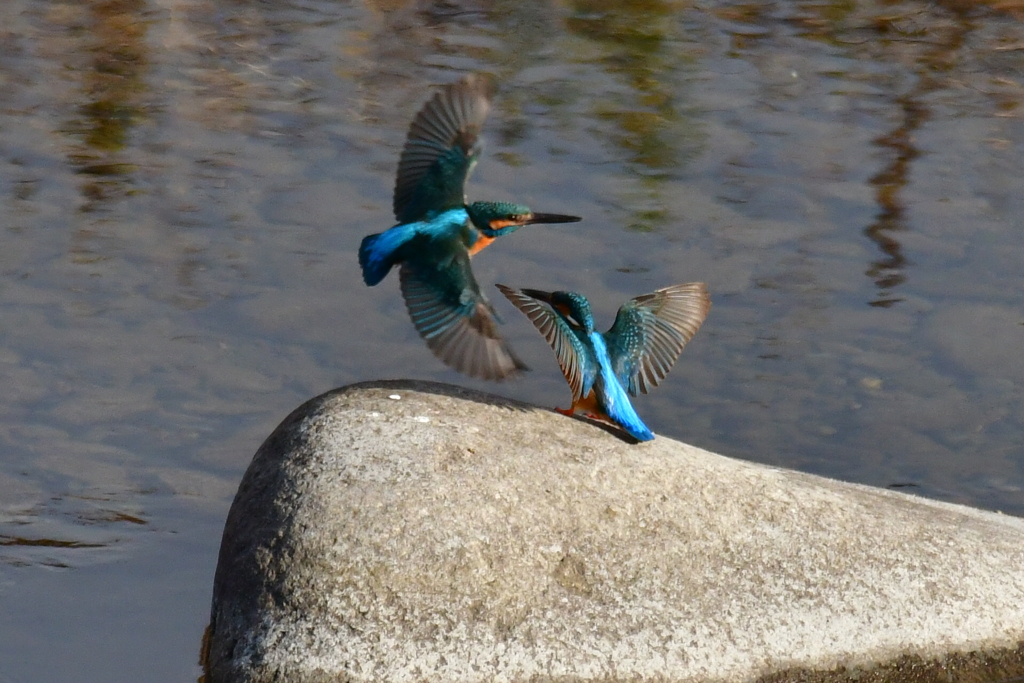 仲良くなりたい