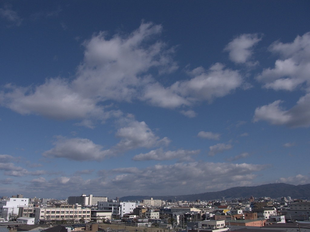 いつもの風景！