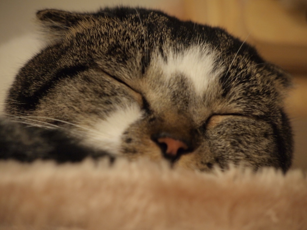 眠い③