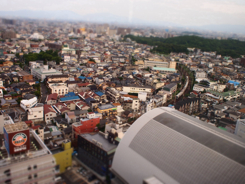 堺市役所21階からの景色