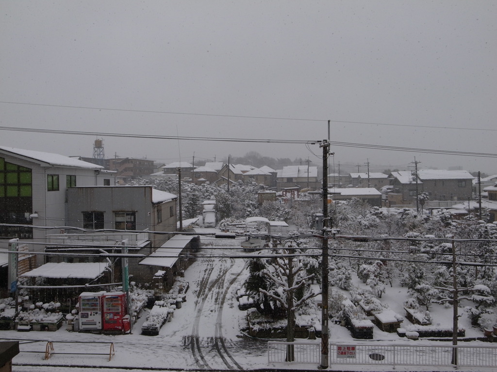 雪景色