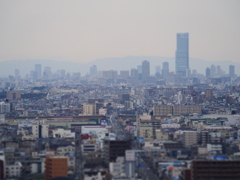 堺の街並み！