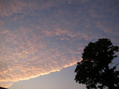 夏の夕暮れ