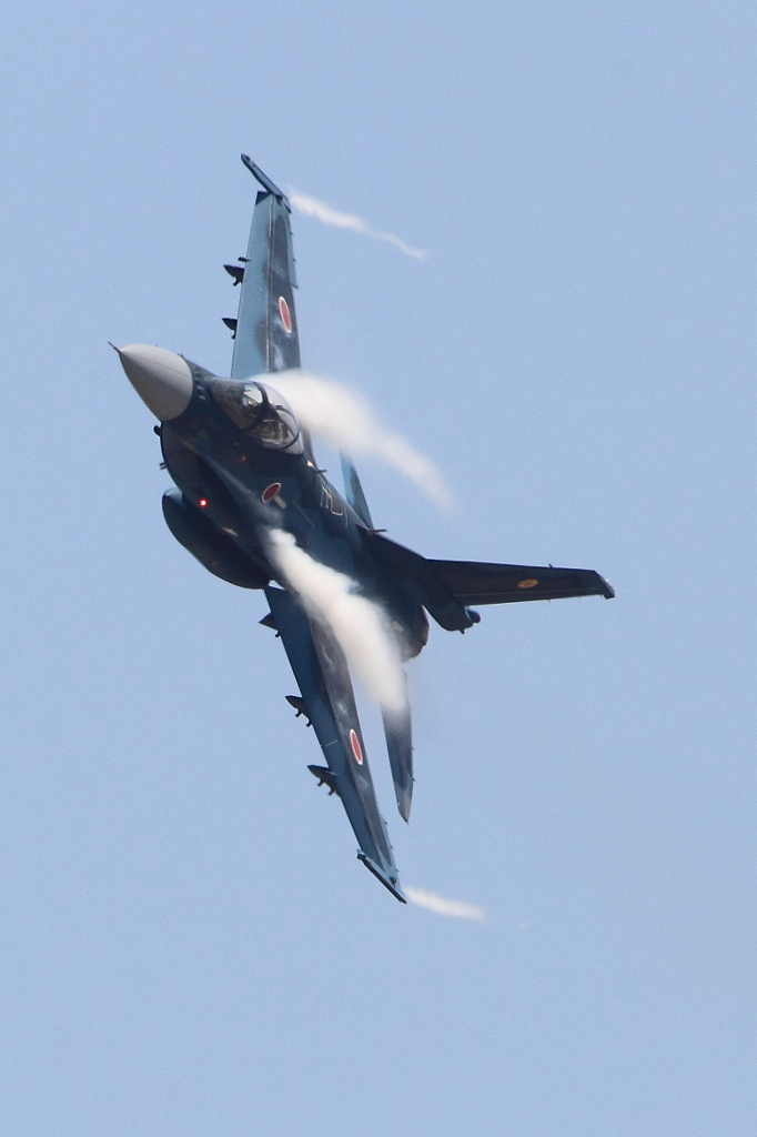 F-2　Maneuvers