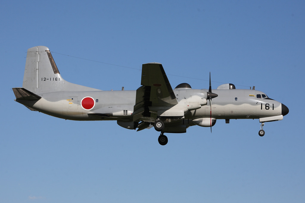 怪しげなＹＳ１１