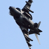 HARRIER　Maneuvers