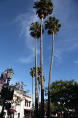 Santa Barbara