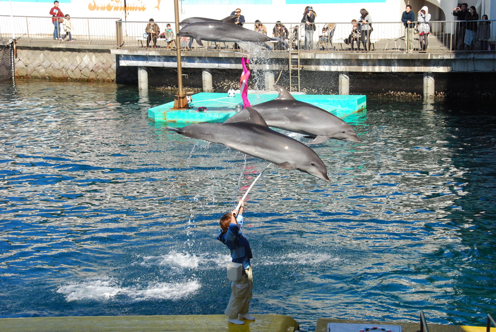 グッドタイミング