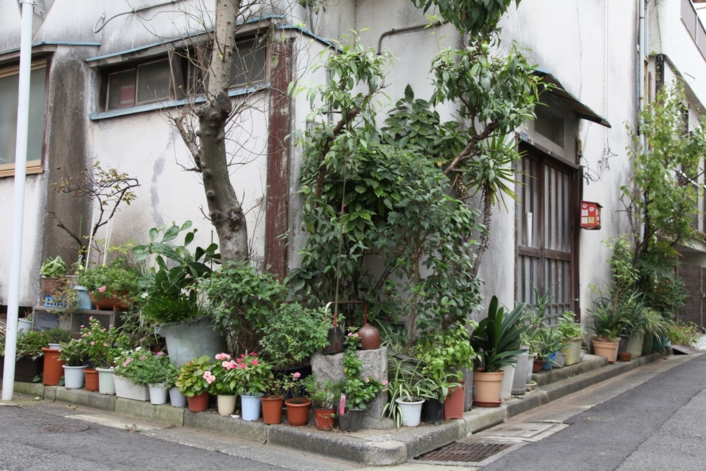 下町のオアシス