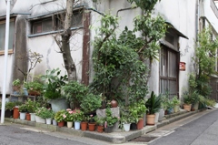 下町のオアシス