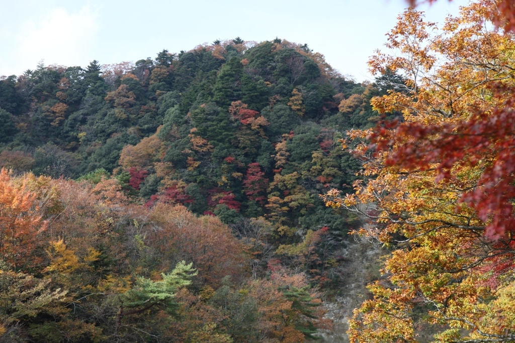 山を染めて