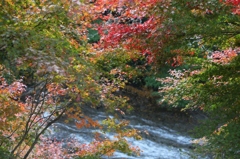 粟又の滝の秋