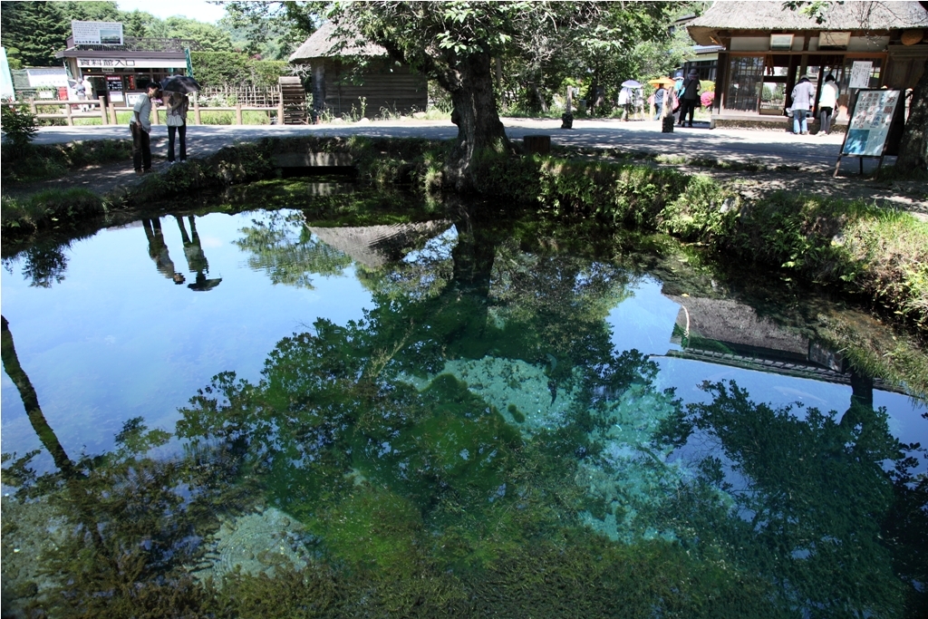 富士の湧き水
