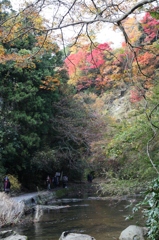 養老渓谷より