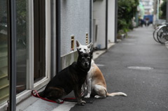 ちょっと，ちょっとちょっと
