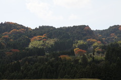 太陽に恩恵