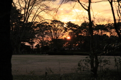 ある冬の夕暮れ時Ⅳ