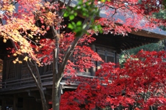 平林寺から
