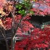 平林寺から