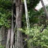 介護疲れ