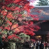 紅葉の名所